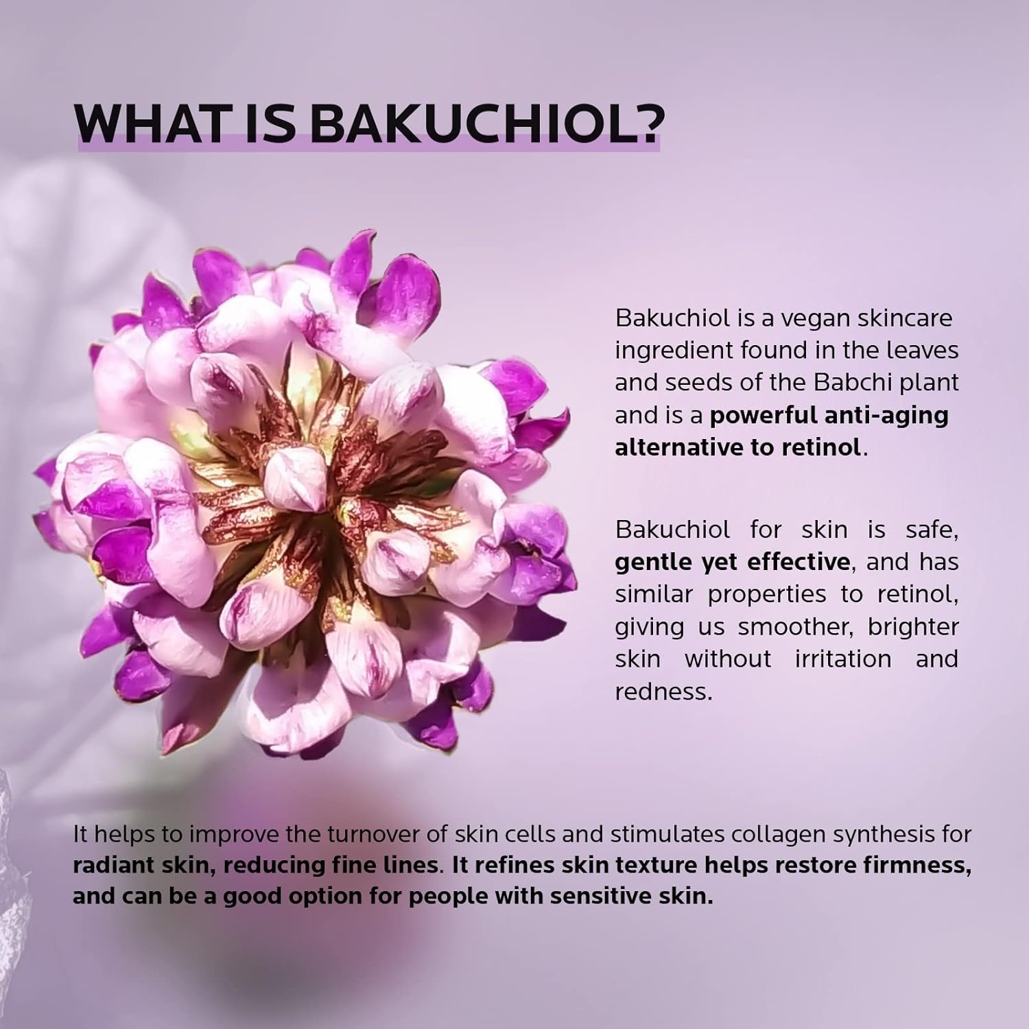 image:imageZealSea 2 Bakuchiol Face Serum Bakuchiol Retinol Alternative for Wrinkles amp Fine Lines Anti Aging Essence with Peptide Plant Retinol Cream Skin Care Renewing for Sensitive Skin 1 Fl Oz